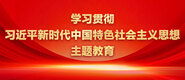 美女草B的网站学习贯彻习近平新时代中国特色社会主义思想主题教育_fororder_ad-371X160(2)